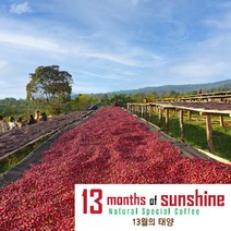 13월의태양 내추럴 블렌딩 고소한 원두 200g 홀빈 공정무역커피, 더치 분쇄