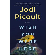 Wish You Were Here, Picoult, Jodi(저),Ballantine .., Ballantine Books