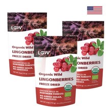 LOOV 루브 핀란드산 링곤베리 동결건조 과일 무설탕 4온스 113gX3 69일분, 1개, 기본
