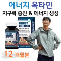 에너지 옥타민 옥타코사놀 비타민B 하루한알 항산화 비타민C 지구력 증진 도움 에너지 생성 면역 아연 직장인 회사원 택배 택시 버스 배달 운전 기사 현장직 사무직 일용직 남성 여성, 4통, 1256mg x 90정 (하루 1정), 90정