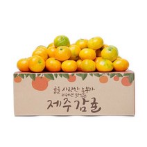 제주 햇 감귤 9kg 로열과, 상세페이지 참조, 10kg