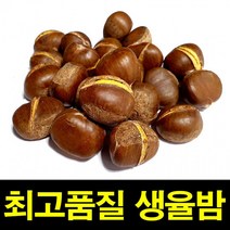 밤 1KG 칼집O 햇생율밤 밤효능 약단밤 밤삶는법 군밤, 햇생율밤 1KG 칼집O