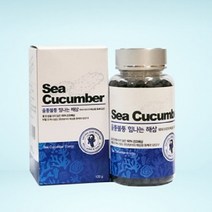 엔존 울퉁불퉁 힘나는 해삼환 건조해삼 기력회복, 120g, 1병