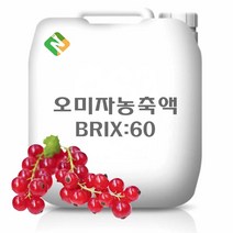 오미자농축액 20kg, 단품, 상세페이지 참조