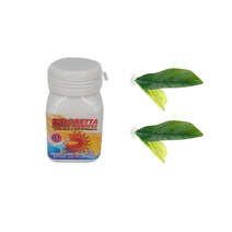 신바람 펠렛 몬스터 1단계 베타 전용 사료 50g + 베타침대 증정