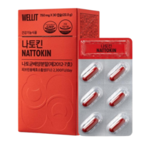 웰릿 나토킨 750mg 30캡슐 1박스입, 1개