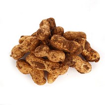 23년 국내산 삶아먹는 피땅콩 생땅콩 물땅콩, 1개, 땅콩1kg