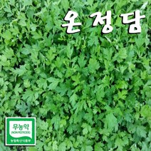 온정담 친환경 데친 쑥 쑥떡용 (냉동쑥), 쑥떡용(데침) 1 KG