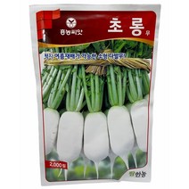 무씨 무 씨앗 여름가을무 초롱무씨앗 2000립, 1개