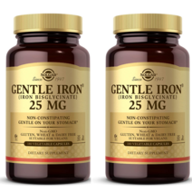 솔가 Gentle Iron 철분 철분제 25mg 90캡슐 2개, 90정