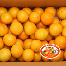 제주 귤림원 감귤 고당도 선별 프리미엄 로얄과 2.5kg 4.5kg 타이백 밀감, 로얄과(2S-M) 4.5kg, 1개