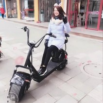 전동킥보드 전기 자전거 스케이트 보드 리튬 트램 할리 전기 자동차 와이드 타이어 성인 배터리 자동차 오토바이 큰 바퀴, A.60V, M.할리 탑 매칭