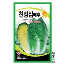 친정집배추 1000립 / 배추씨앗 김장배추 배추씨