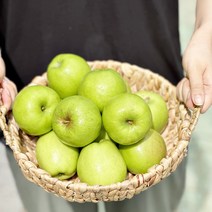 가정용흠집 썸머킹 아오리 중소과-중과 5kg 17-22과 여름햇사과