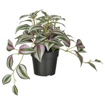 이케아 페이카 인조식물 실내외겸용 자주달개비20cm 화분지름9cm, 단품