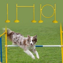 훈련용품 점프 어질리티 강아지 운동 PET 허들 실내용, 02점프링