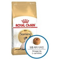 로얄캐닌 캣 샴 어덜트 2kg, 없음