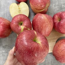 달티어 안동사과 홍로사과 부사 가정용 5kg, (정품) 홍로 꼬마과 19-21과 3kg