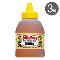 Billy bee 빌리비 캐나다 클로버 꿀 허니 340g X 3팩, 단품, 단품