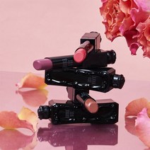 ANNASUI 안나수이 클래식 루즈 [스퀘어 핸드 미러], 201 달리아 플럼