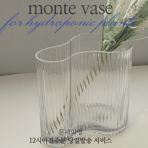 어웰마인드 몬스테라 화병 수경재배 반려식물 천연가습기 실내공기정화식물