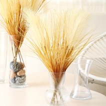 인조 갈대조경 인테리어 조화장식 핑크뮬리 포토존 1대 팜파스 소형 5P세트, 1대팜파스(소)5P세트 크림