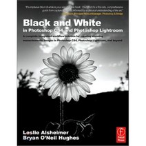 Black and White in Photoshop CS4 and Photoshop Lightroom: A Complete Integrated Workflow Solution for ..., Focal Press