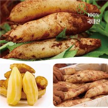2022년 청원농산 햇야콘 10kg, 햇야콘(못난이) 반품불가10kg/box, 1개