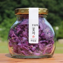 하립골 꽃차모음 자연산 국산 꽃차세트, 1병, 12 진달래꽃차