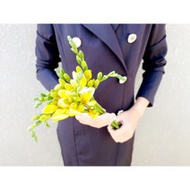 프리지아 유스풀몰 후리지아 30줄+서비스꽃 생화 꽃배달싼곳 꽃