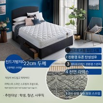 라텍스 매트리스 천연라텍스 침대 싱글 신혼 수면매트 독립스프링 폼두꺼운 노인 비만 메트리스, G