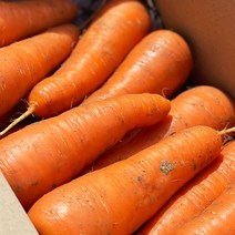 국내산 흙당근 햇당근 중사이즈 3kg 5kg 10kg, 3kg(중), 1개