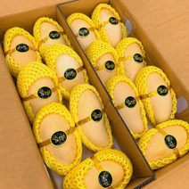 비교불가 특대사이즈 태국망고 선물세트 골드망고 5kg, 태국망고 5kg (14과수내외)