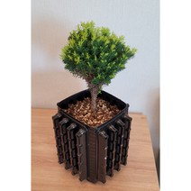 실내용 핑크 트리웰화분 2.5리터 (12cm*12cm*17cm) 에어터널효과, 검정, 1개