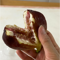 무농약 해남무화과 4팩 제철 무화과 잼무료증정 영양 꿀무화과 신선 달콤 과일 무농약무화과
