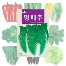 배추 고추 파프리카 씨앗 25종, 일품봄배추 500립
