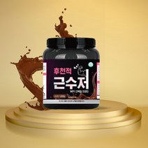 후천적 근수저 분리유청단백질 wpi 단백질보충제 1kg, 1000g, 1통