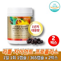뉴질랜드 프로폴리스 앤 아연 알약 캡슐 포르폴리스 프로플로스 beepropolis 비프로폴리스 플라보노이드, 2박스