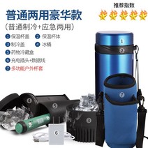 인슐린 보냉 가방 보냉팩 보관함 보관 보냉백 케이스 의약품 약냉장고, H 디럭스 버전 - 사진 참조