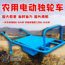 농업용운반차 전동운반차 전동 수레 리어카 전기 운반차 닭공공차 농업전동손밀기 등산외바퀴손수레 과수원운송 리튬배터리 이륜트롤리 공사현장운송차량, [08] 15A 더블 휠 타입티핑 버켓 없음
