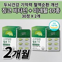 뇌 두뇌 세포 건강 기억력 기능 감퇴 저하 노화 예방 혈액순환 혈행 개선 혈관 질환 에좋은 음식 건강기능식품 식약처 인증 은행잎추출물 10종 비타민 미네랄 아연 징코 영양제 30정, 2개