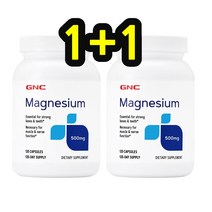 GNC 지앤씨 마그네슘 500mg 120 2set, 2개, 120정
