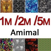 수전사필름 수전사 카본 필름 패턴 동 무늬 전사 인쇄 자동차 용 용 디핑 아쿠아프린트용, 50cmx300cm 랜덤