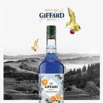 GIFFARD 블루큐라소 시럽, 1개, 1000ml