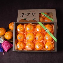 (롯데백화점)제주 서귀포 레드향 선물세트 4.7kg (실중량/24과내외)
