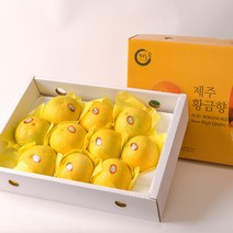 [옴마품]꿀당도 제주 황금향 3kg(8-15)-선물용 포장