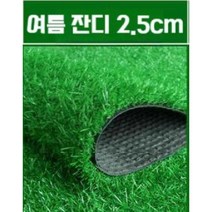 인조잔디 카펫 매트 야외 옥상 테라스 유치원 축구장 방화 방염 잔디 2.5cm, 여름 잔디 2.5 cm (2m x 0.5m)