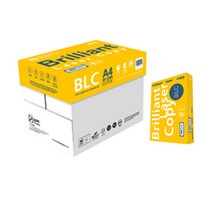 BLC 프리미엄 80g A4 복사용지 에이포용지 2500매 1박스