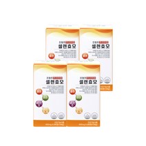 진정주 프리미엄 셀렌효모(240정), 240정, 4개
