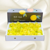 제주 산지직송 특산품 고당도 황금향 선물세트 명절 추석 설 선물, 5kg 소과 (25~30과 내외)